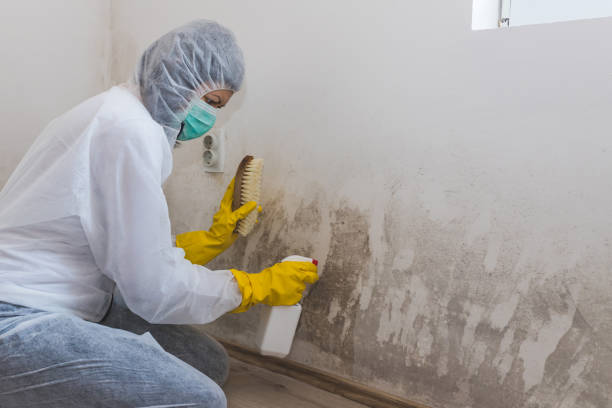 Best Residential Mold Removal  in Fritch, TX
