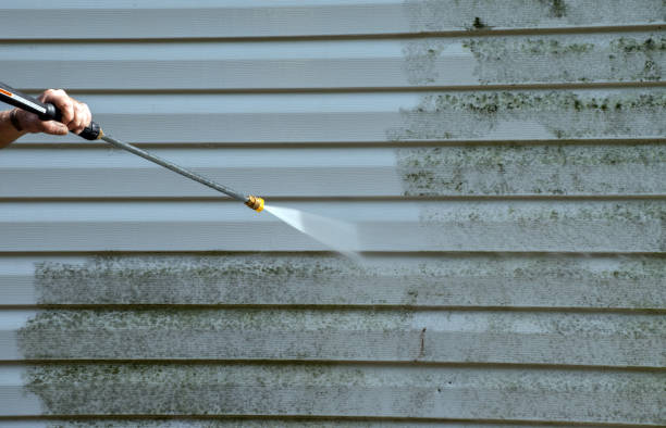 Best Attic Mold Removal  in Fritch, TX